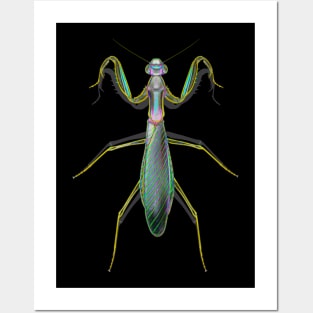 Green Neon Mantis Posters and Art